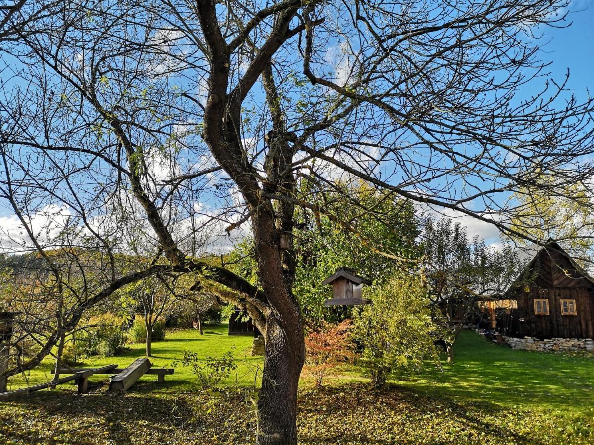 Apartmany Cerveny Dvur Chvalsiny Bagian luar foto