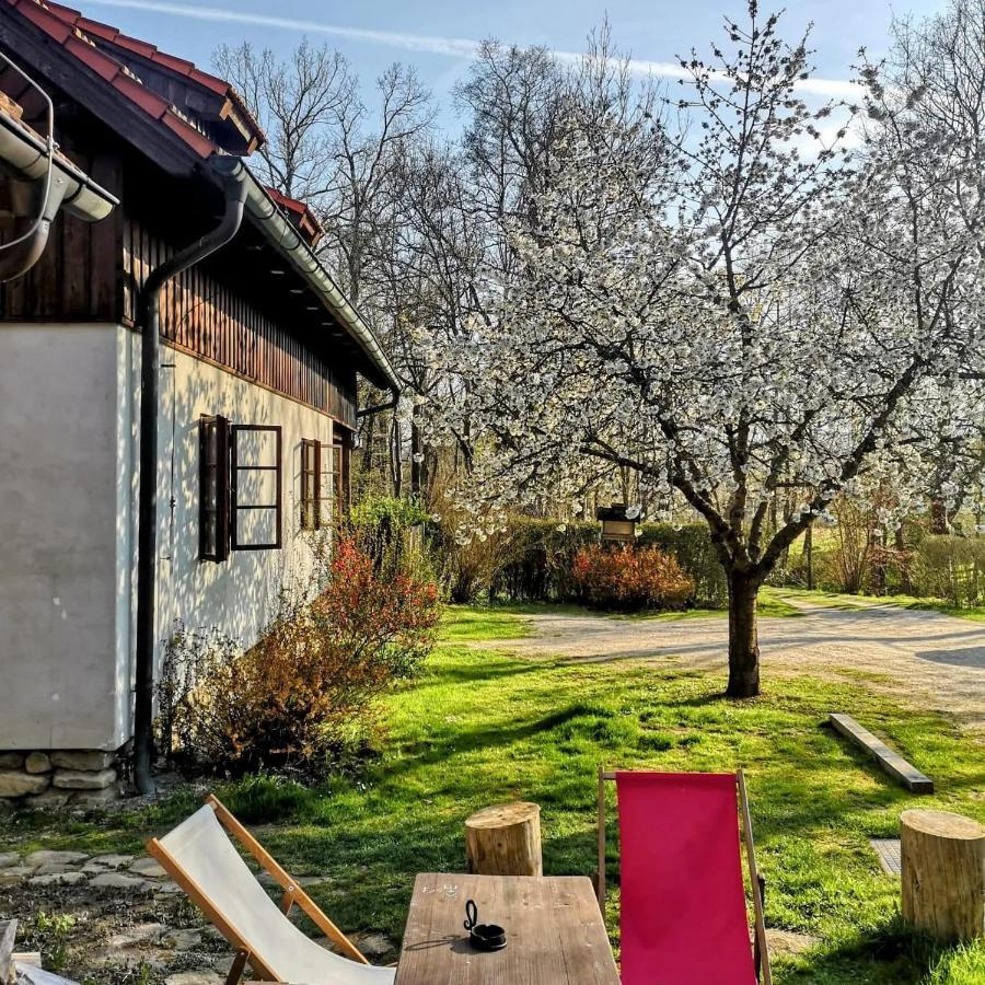 Apartmany Cerveny Dvur Chvalsiny Bagian luar foto