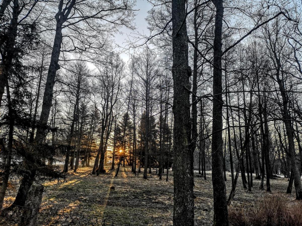Apartmany Cerveny Dvur Chvalsiny Bagian luar foto